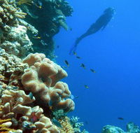Reef Magic Cruises - Accommodation VIC