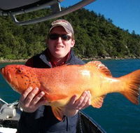 Gone Fishing by Coral Sea Fishing Charters Airlie Beach - Accommodation VIC