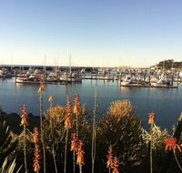 Mantaray Charters - Accommodation VIC