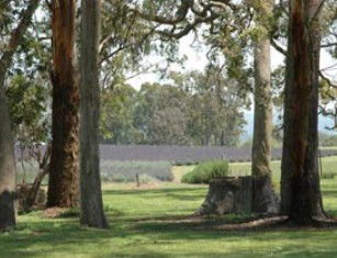 Glenlyon QLD Accommodation VIC