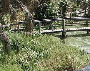 Australia Fraser Island Escape - Accommodation VIC 1