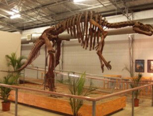 Australia's Dinosaur Trail - Accommodation VIC 0