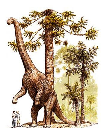 Australian Age Of Dinosaurs - Accommodation VIC 2