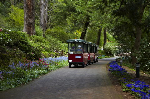 Araluen Botanic Park - Accommodation VIC 0