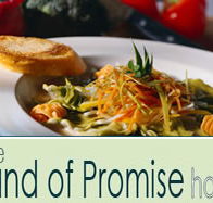 Land of Promise Hotel - Accommodation VIC