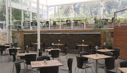 Tea Tree Gully Hotel - Accommodation VIC 3