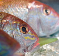 Coro Hotel - Lure Seafood Restaurant - Accommodation VIC