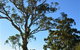 Ryde-Parramatta Golf Club - thumb 0