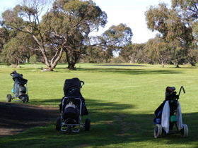 Minlaton Golf Club - Accommodation VIC 3