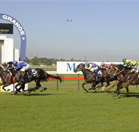 Kembla Grange Racecourse - Illawarra Turf Club - Accommodation VIC