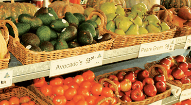 Supply Jervis Bay - Accommodation VIC 2