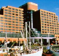 The Atrium Bar - Accommodation VIC