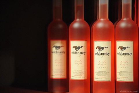 Fennell Bay Cellars - Accommodation VIC 0