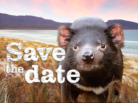 Art Group Longford - Accommodation VIC 0