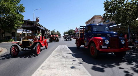 Corowa Rotary Federation Festival - Accommodation VIC 1