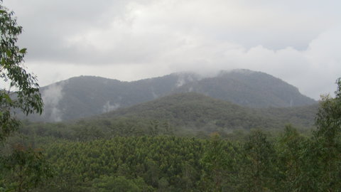 Elephant Trail Race - Accommodation VIC 2