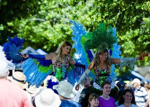 Family Fun Carnivale - Accommodation VIC 0