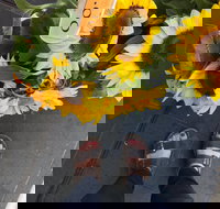 Friday Forage - Accommodation VIC