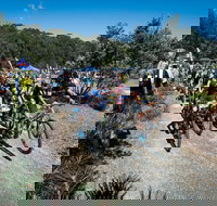 JetBlack Wild Wombat MTB Challenge - Accommodation VIC