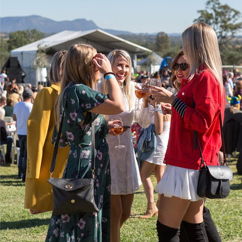 Lovedale Long Lunch - Accommodation VIC 0