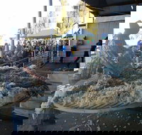 Narrabri Show - Accommodation VIC