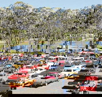 Spring Cruiz In - Accommodation VIC