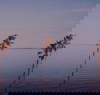 Sunset Streaming Live DJ Streams - Accommodation VIC