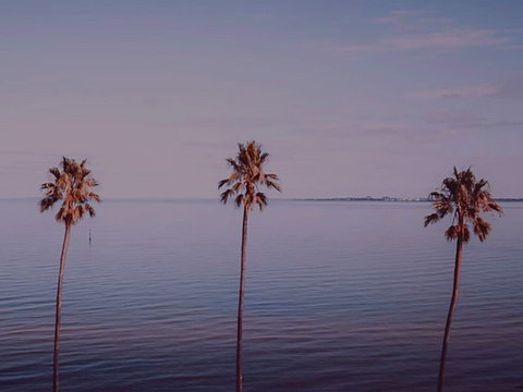 Sunset Streaming Live DJ Streams - Accommodation VIC 0