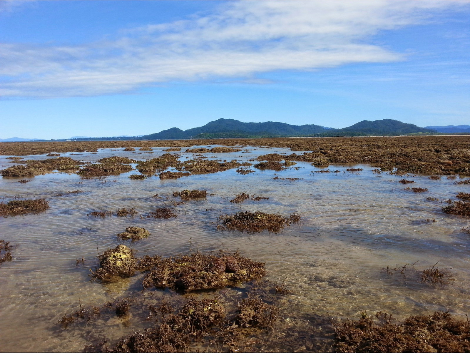Kurrimine Beach QLD Accommodation VIC