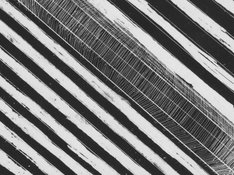 WA Now – Tom Mùller: Monolith Scores - Virtual Exhibition - Accommodation VIC 1