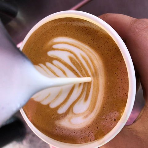 Yamba Farmers And Producers Market - Accommodation VIC 2