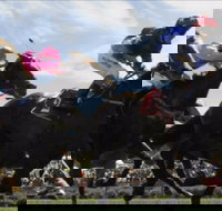 Batemans Bay Cup - Accommodation VIC