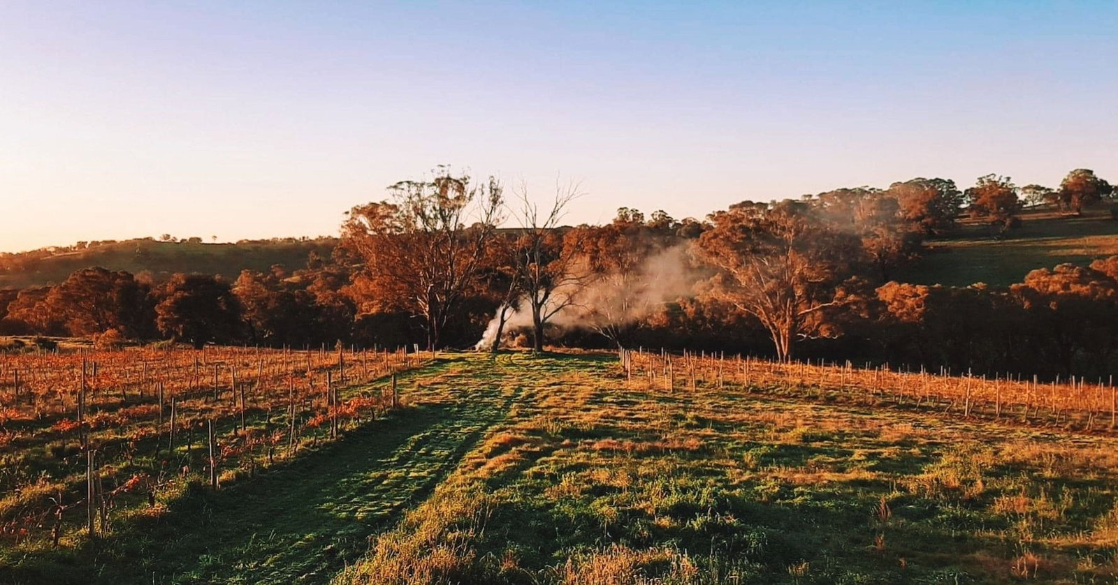 Lidster NSW Accommodation VIC