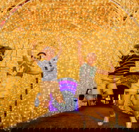 Christmas Lights Spectacular New Year's Eve at Hunter Valley Gardens - Accommodation VIC