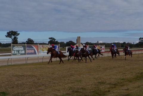 Corowa Horseraces - Accommodation VIC 0