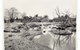 EXHIBITION: LILY MAE MARTIN: OVERBURDEN - thumb 3