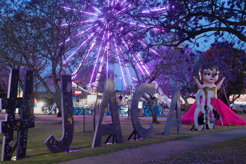 Grafton Jacaranda Festival - Accommodation VIC 0