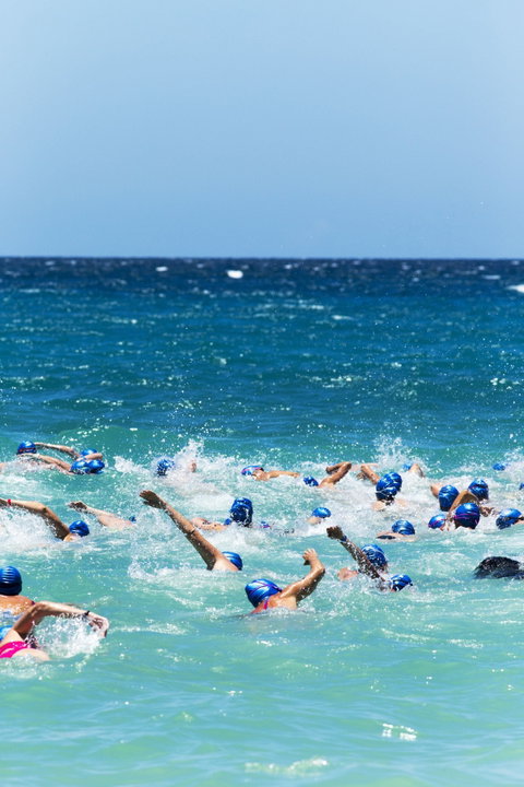 Hamilton Island Endurance Series - Whitehaven Beach Ocean Swim - Accommodation VIC 0