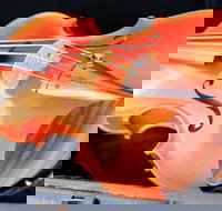 Kendall National Violin Competition Finals Weekend - Accommodation VIC