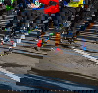 Moruya Town to Surf Fun Run - Accommodation VIC