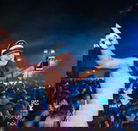 North Gong New Year's Eve - Accommodation VIC