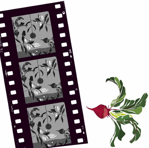 Oseanica Film Project - Accommodation VIC 0