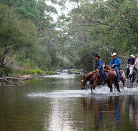 The Man From Snowy River Bush Festival - Accommodation VIC