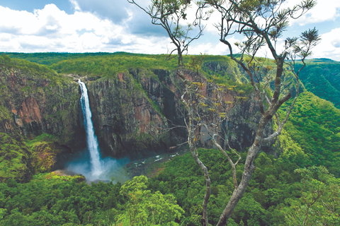 The Garden Clubs Of Australia Inc AGM And Biennial Convention 2021 - Accommodation VIC 1