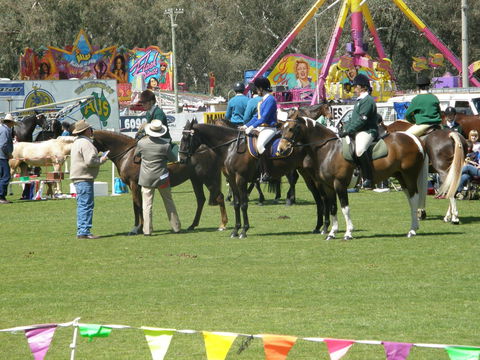 Wangaratta Show - Accommodation VIC 0