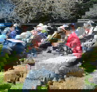 All Season Cold Climate Organic Vegetable Growing - Accommodation VIC