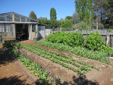 All Season Cold Climate Organic Vegetable Growing - Accommodation VIC 1