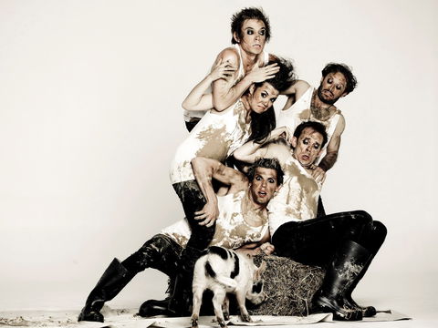 Animal Farm - Launceston - Accommodation VIC 0