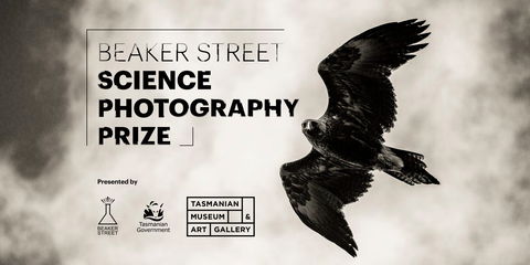Beaker Street Science Photography Prize - Accommodation VIC 0