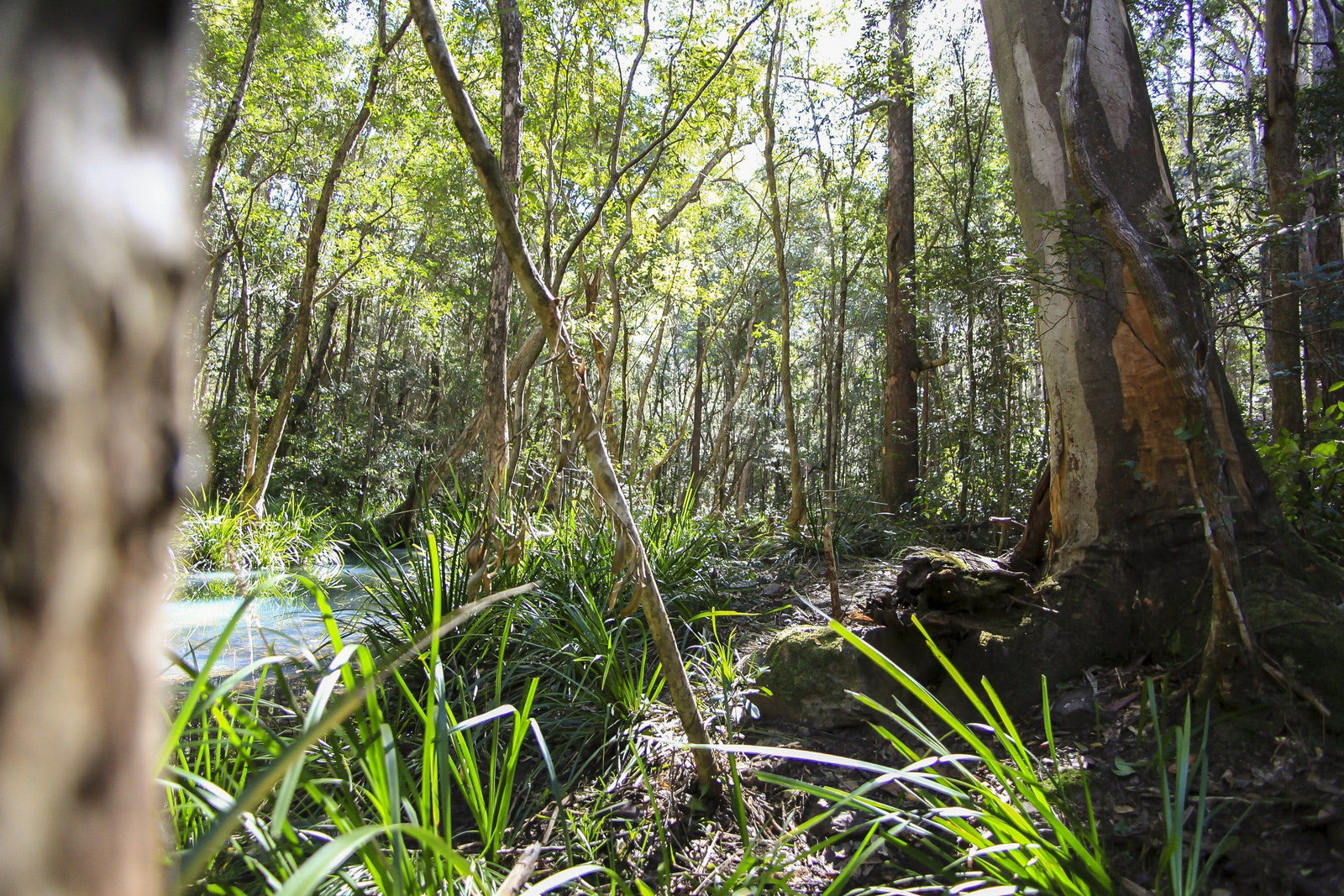 Herons Creek NSW Accommodation VIC